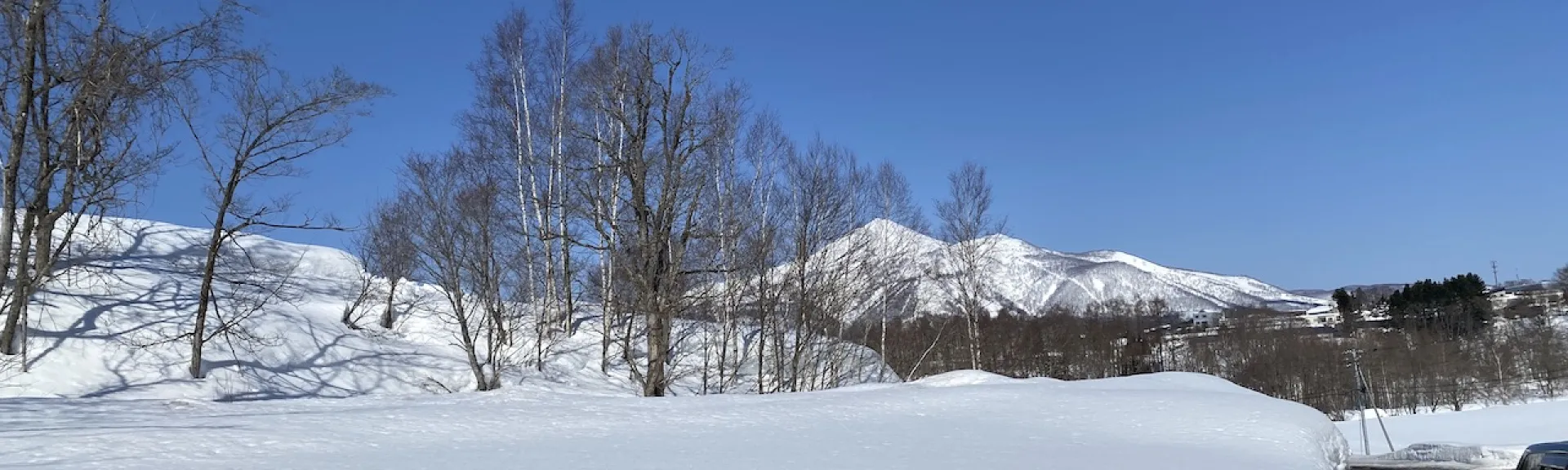 Niseko_land_1036