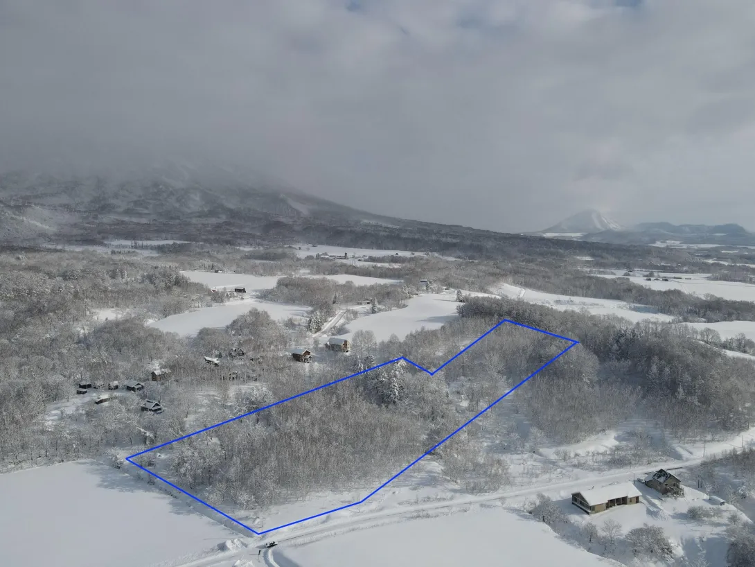 Kondo winter outline
